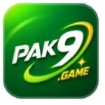 PAK9 Game